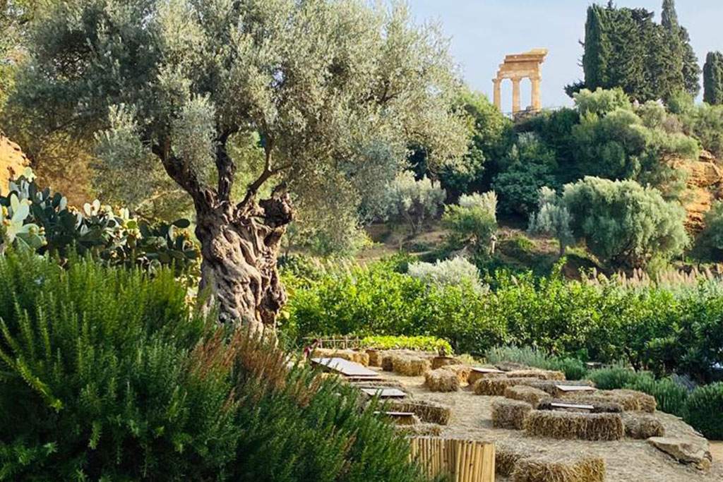 Discover Agrigento and the Valley of Temples - Image 4